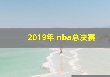 2019年 nba总决赛